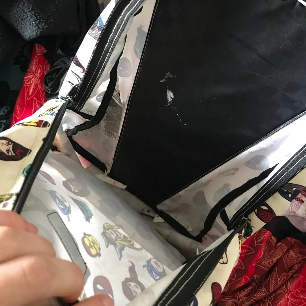 Backpack - Picture 3 of 3